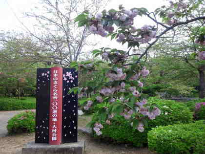 大村公園 2012年4月18日